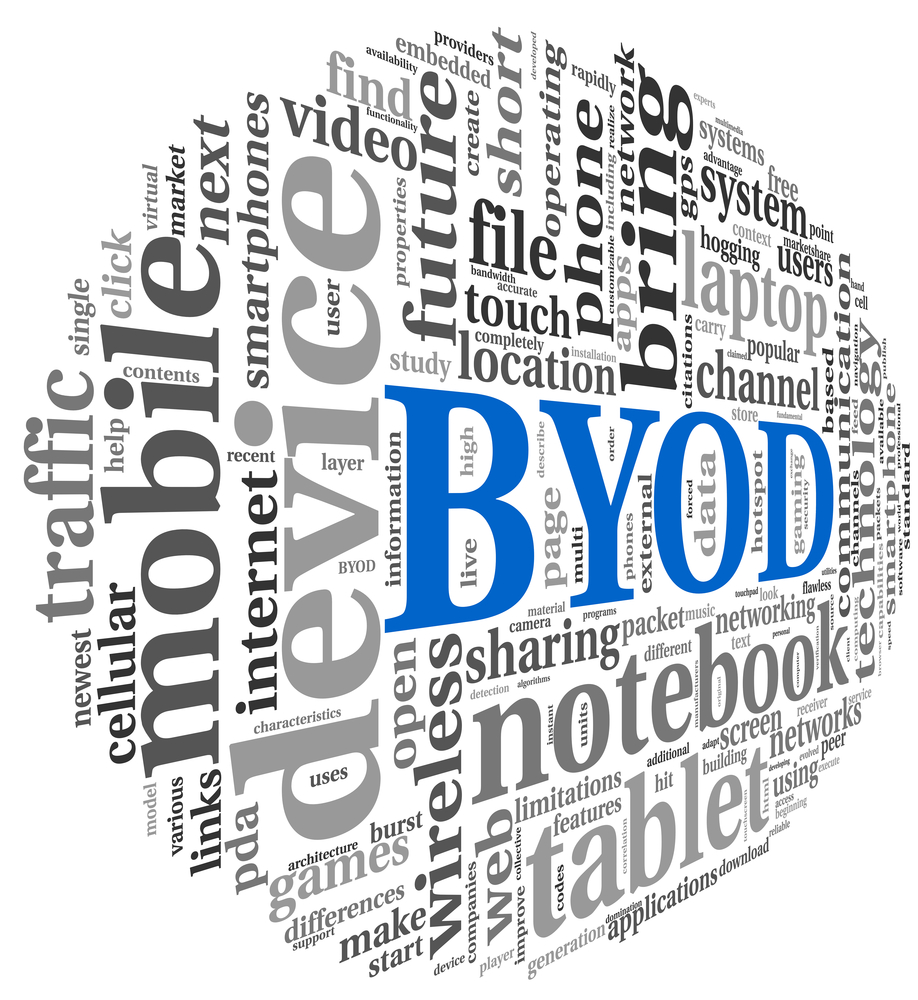 Going Mobile in the Public Sector: How to Keep Data Safe