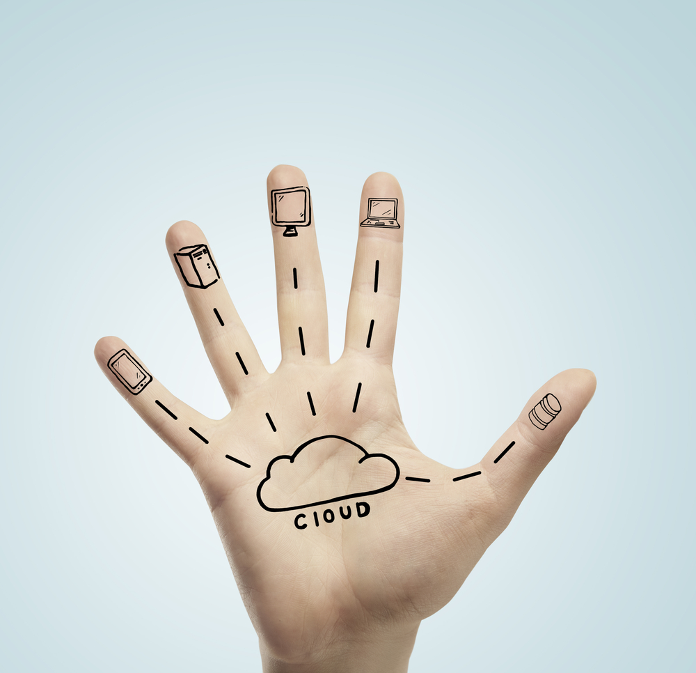 Managing the Risks of the Cloud