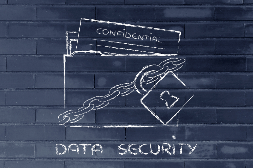 Data Security Risk Mitigation in Financial Services