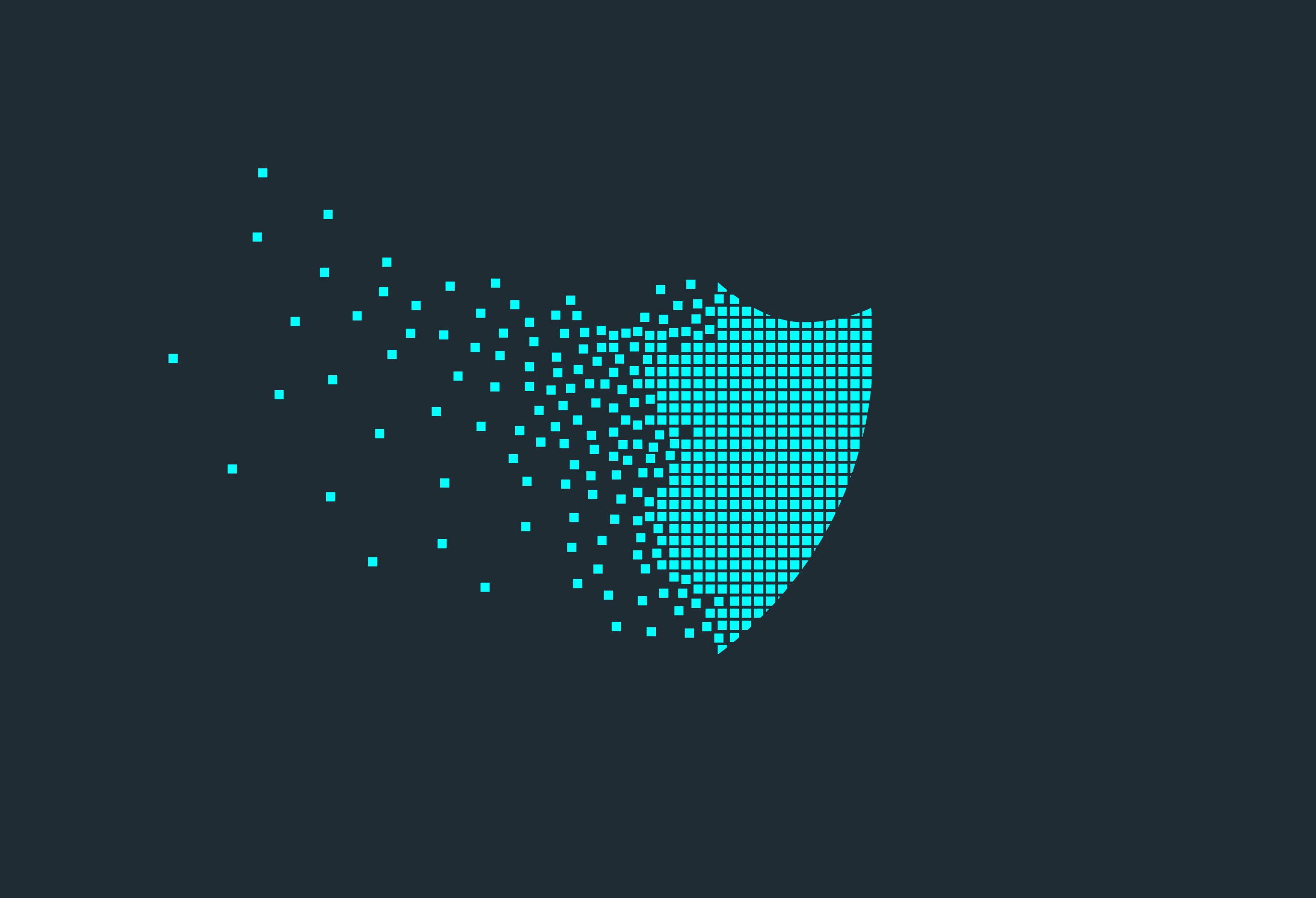 EU-US Privacy Shield Details Revealed